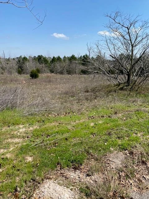 Unit for sale at 123 Lariat CT, Bastrop, TX 78602
