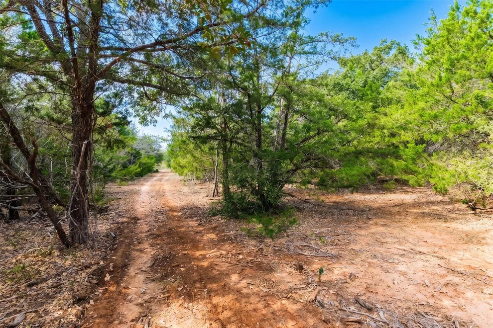 Unit for sale at 12 Acres Mt Pleasant RD, Cedar Creek, TX 78612
