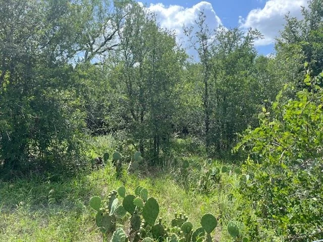 Unit for sale at 103 Mann LN, Cedar Creek, TX 78612