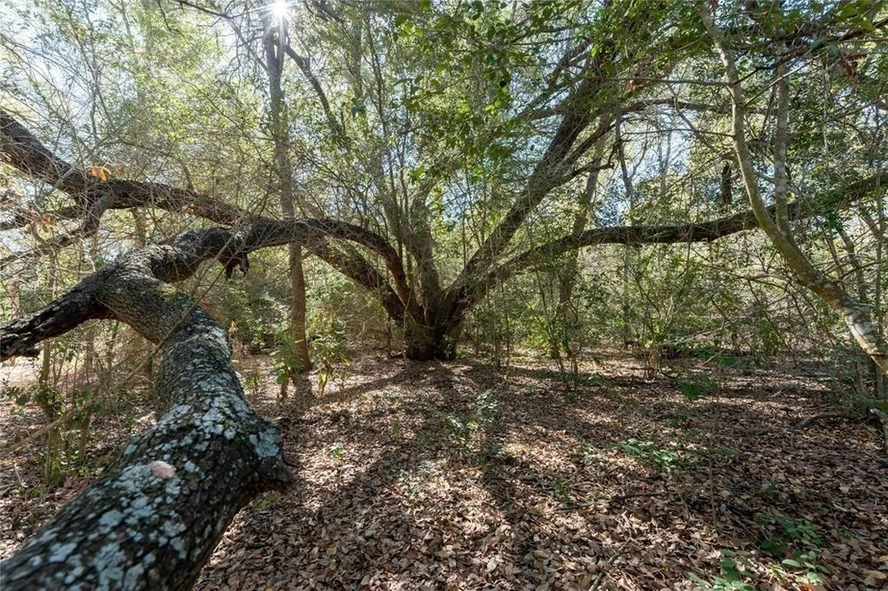 Unit for sale at TBD40 Bateman RD, Red Rock, TX 78662