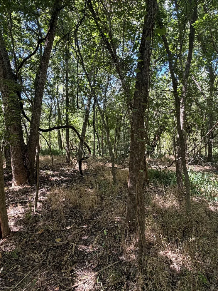 Unit for sale at Lot 677 Kaukonahua LN, Bastrop, TX 78602