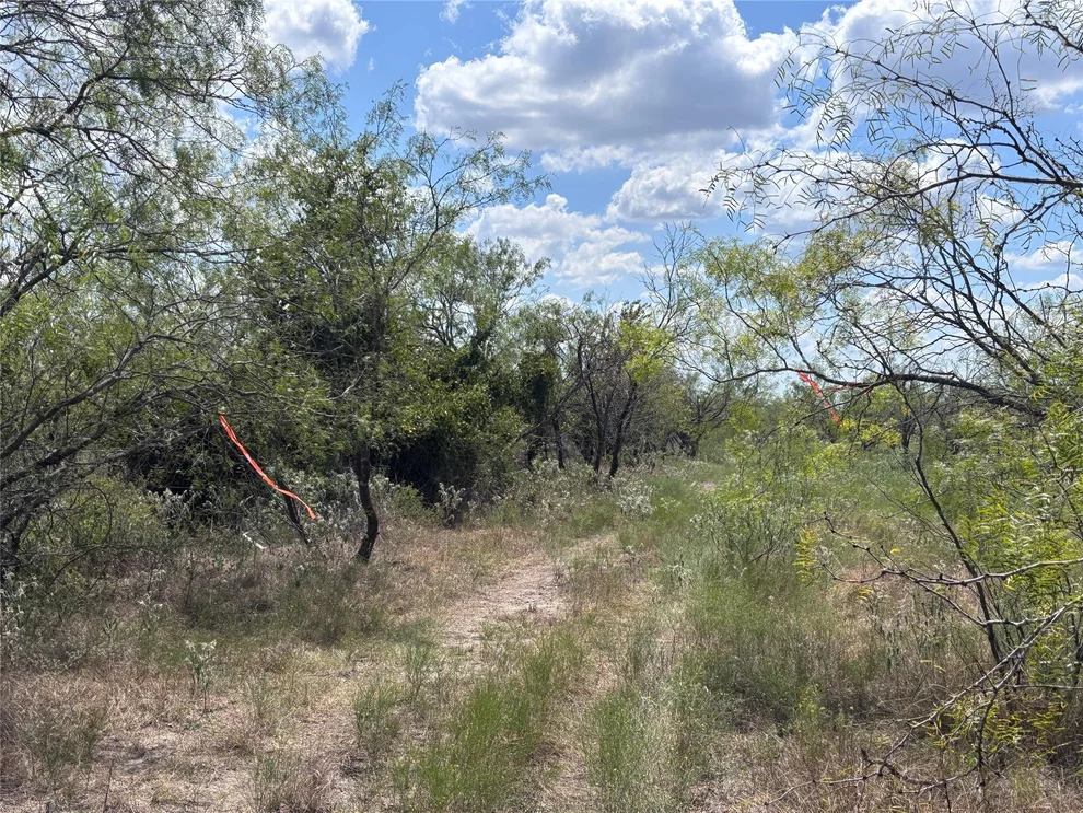Unit for sale at TBD 10.04 AC County Road 413, Thorndale, TX 76577