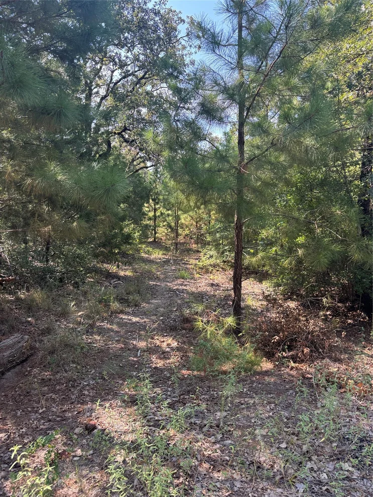 Unit for sale at 667 Paint Creek South RD, Paige, TX 78659