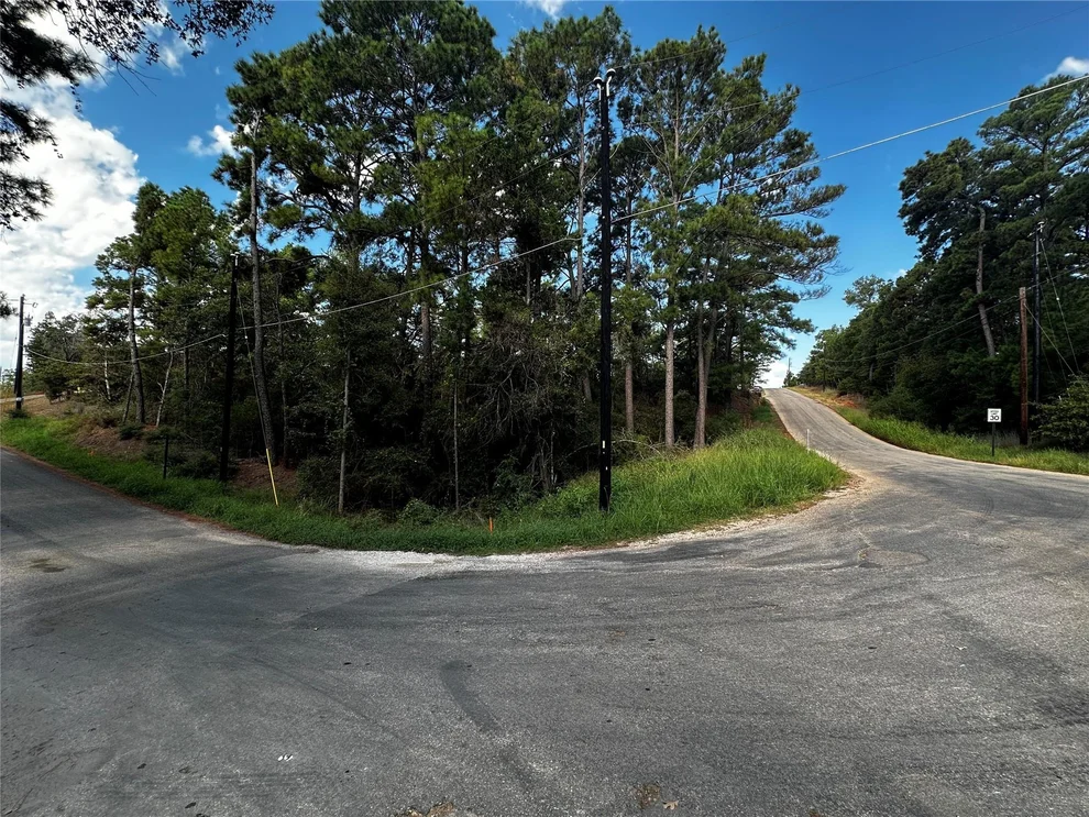 Unit for sale at 145 Lamaloa DR, Bastrop, TX 78602