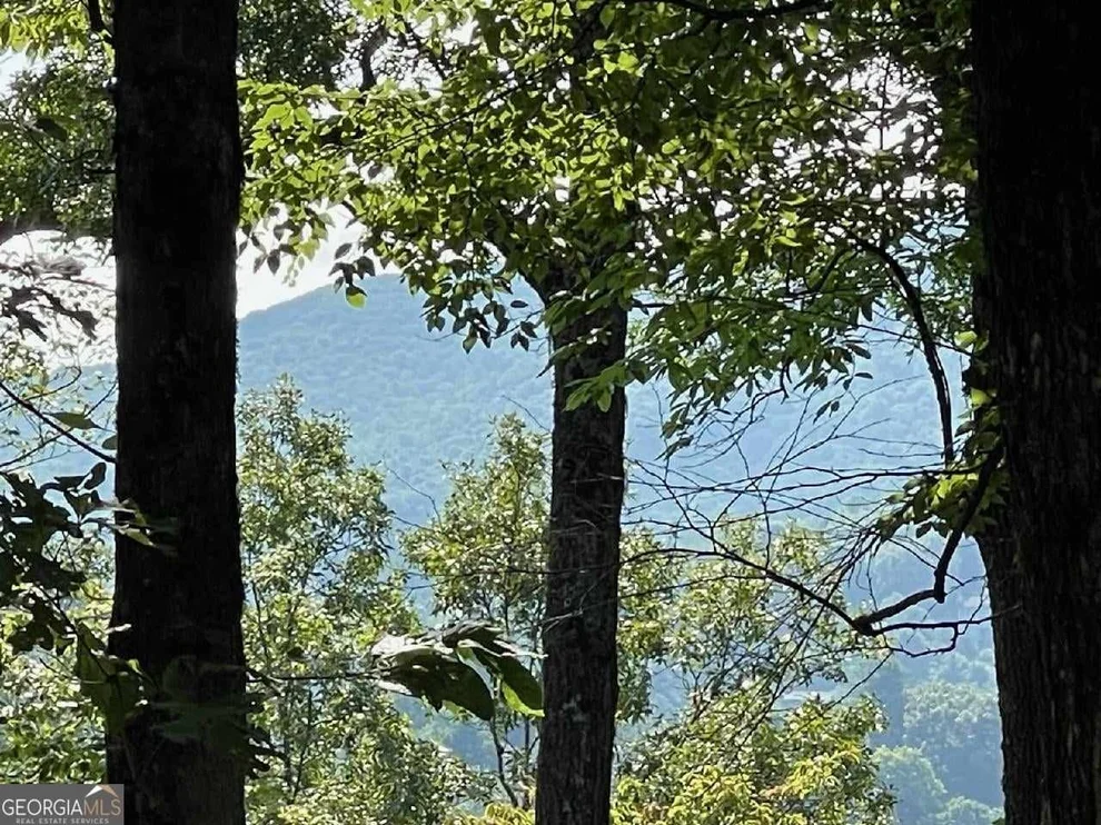 Unit for sale at 0 Ridgepole/Covered Bridge, Sky Valley, GA 30537