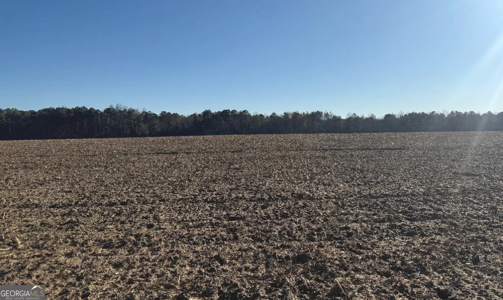 Unit for sale at 0 Whitfield Road, Elko, GA 31025