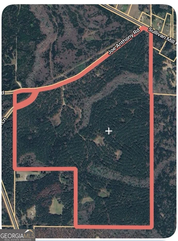 Unit for sale at 0 Joe Anthony Rd, Senoia, GA 30276