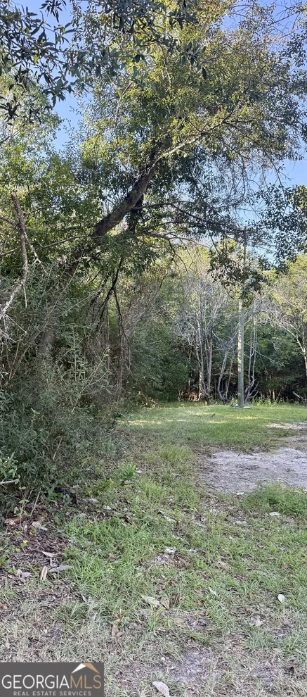 Unit for sale at 0 Isabel Street, Sylvania, GA 30467