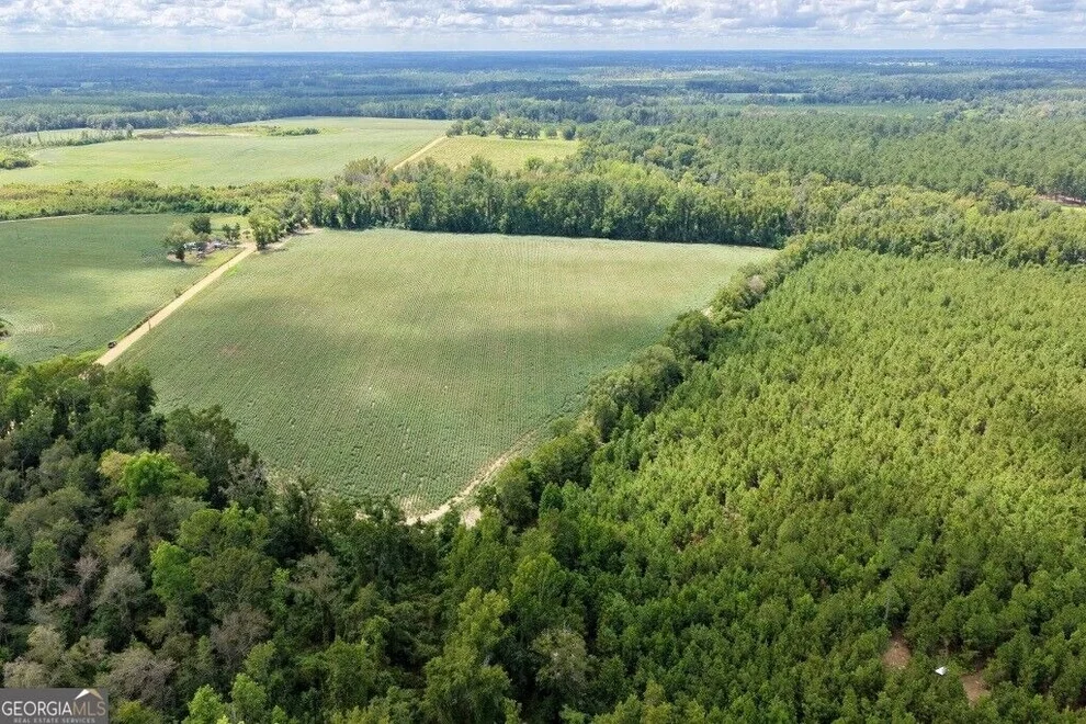 Unit for sale at 0 Watson & Cedar Lawn Roads, Metter, GA 30439