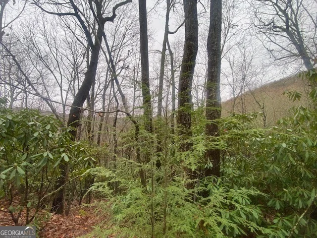 Unit for sale at LOT 17 Ridgepole Drive, Sky Valley, GA 30537