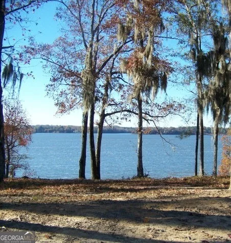 Unit for sale at 0 Point Drive, Georgetown, GA 39854
