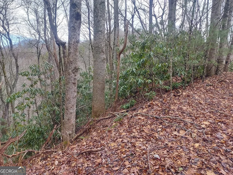 Unit for sale at 0 Labelle Circle, Sky Valley, GA 30537