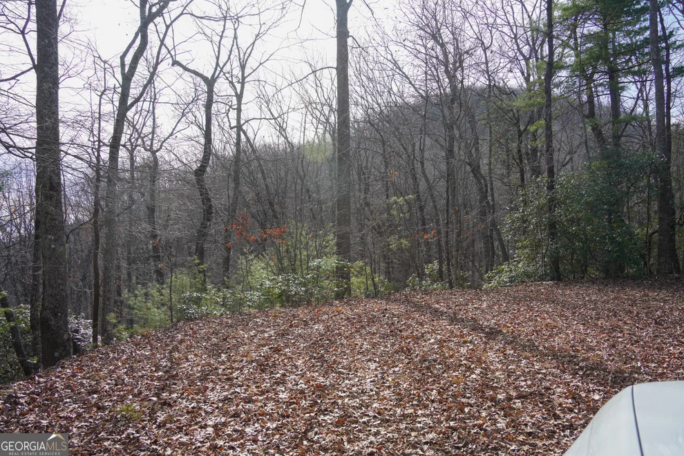 Unit for sale at 0 High Holly, Tiger, GA 30576