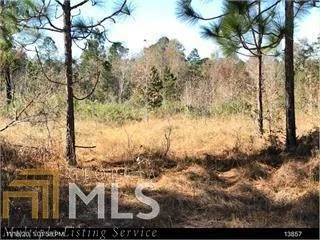 Unit for sale at 0 Bill Glenn Rd Off Highway 56, Swainsboro, GA 30401