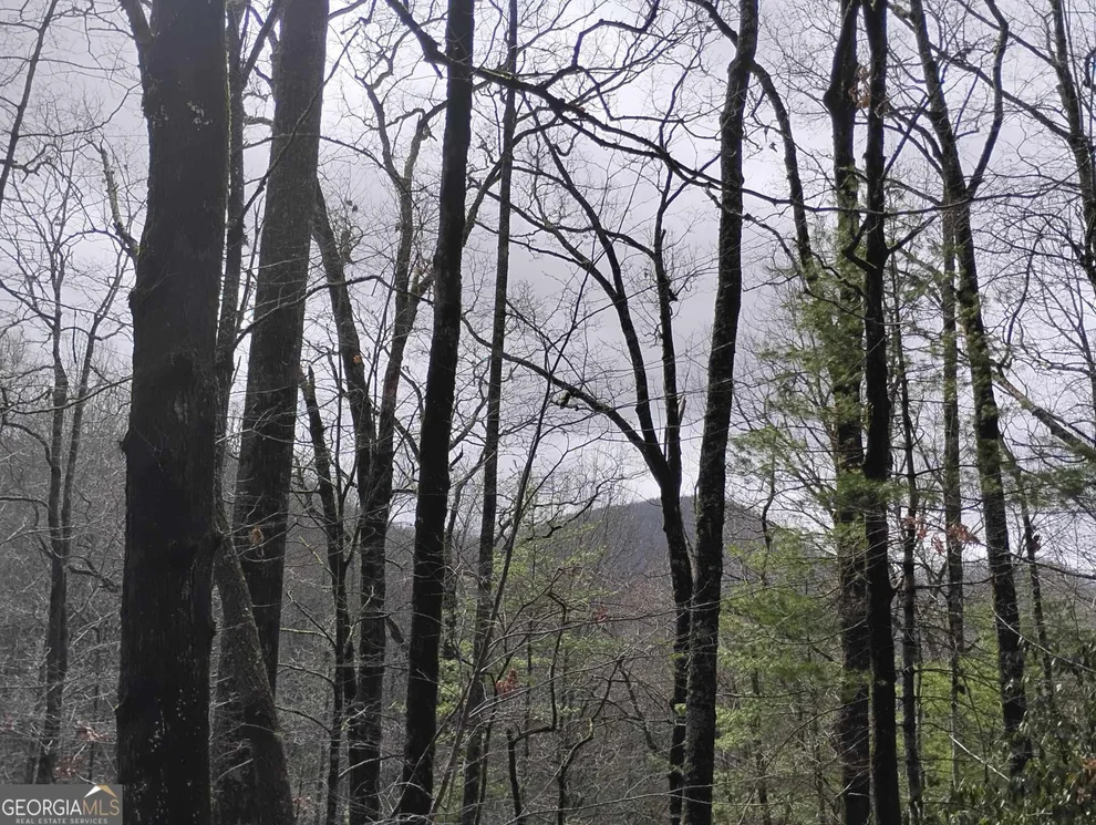 Unit for sale at 0 LOT 289 Cobblewood Trail, Sky Valley, GA 30537
