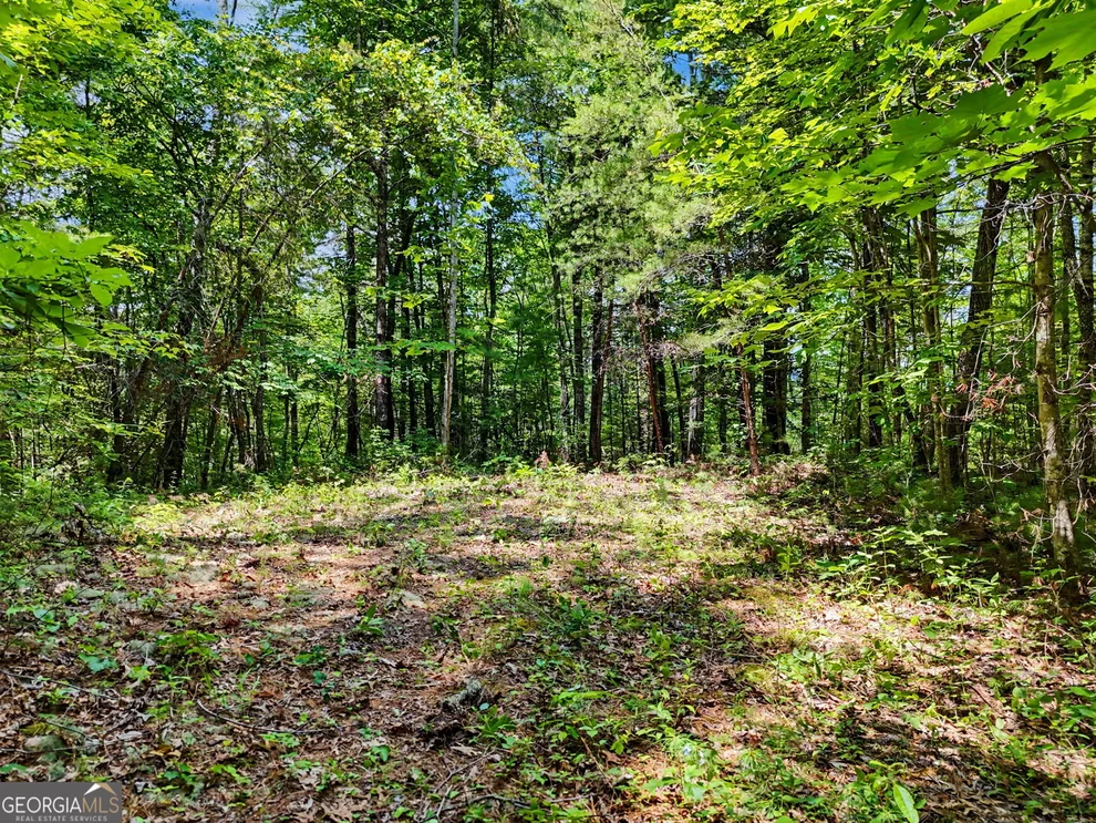 Unit for sale at 0 Hidden Falls Drive, Tiger, GA 30576