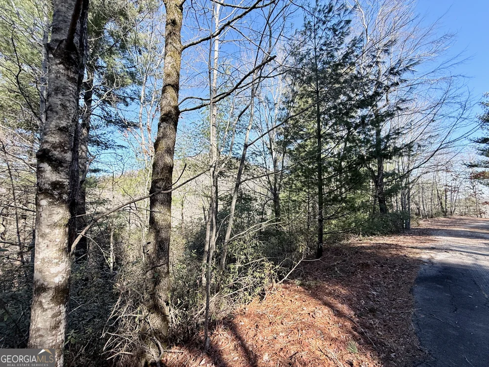 Unit for sale at 0 Rabun Bluffs Drive, Lakemont, GA 30552