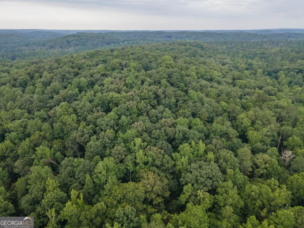 Unit for sale at 0 Brazell Road, Chattahoochee Hills, GA 30268