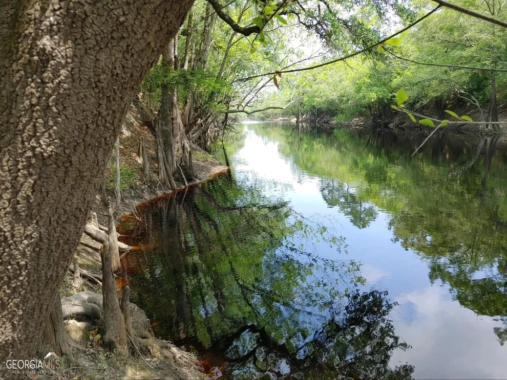Unit for sale at LOT 1 Baker Blvd/cr 4, St. George, GA 31562