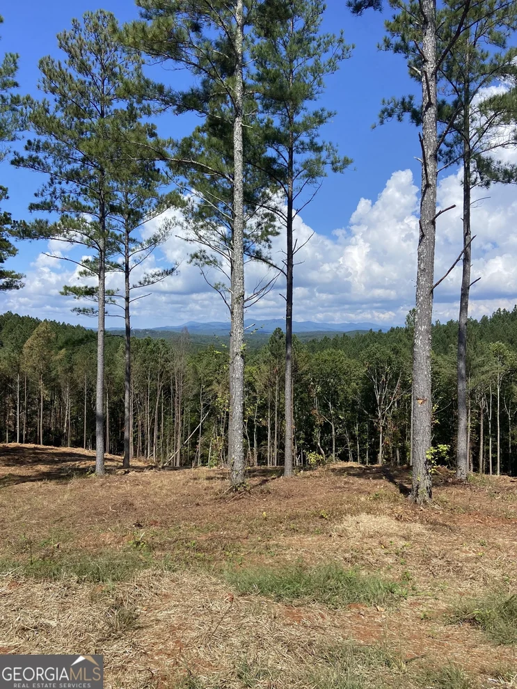 Unit for sale at LOT 63 Lacey Springs Lane, Ellijay, GA 30540