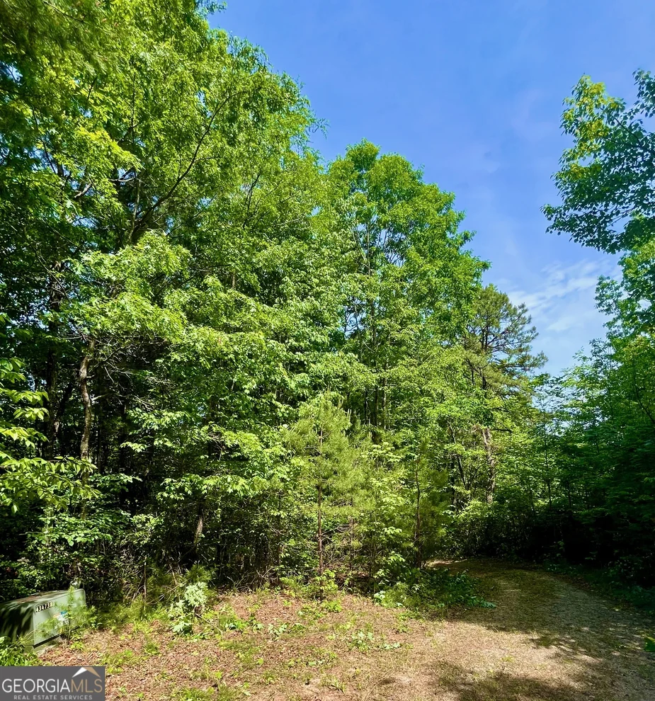 Unit for sale at 0 Bluff Mtn, Dillard, GA 30537