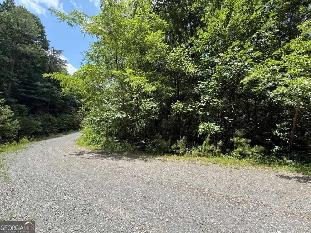 Unit for sale at LOT E9 Reece Mountain Road, Ellijay, GA 30536