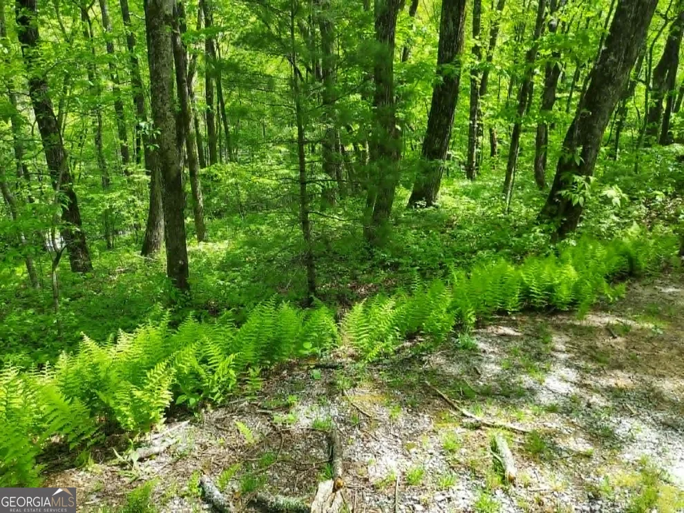 Unit for sale at 0 LOT 5 Rebel Circle, Sky Valley, GA 30537