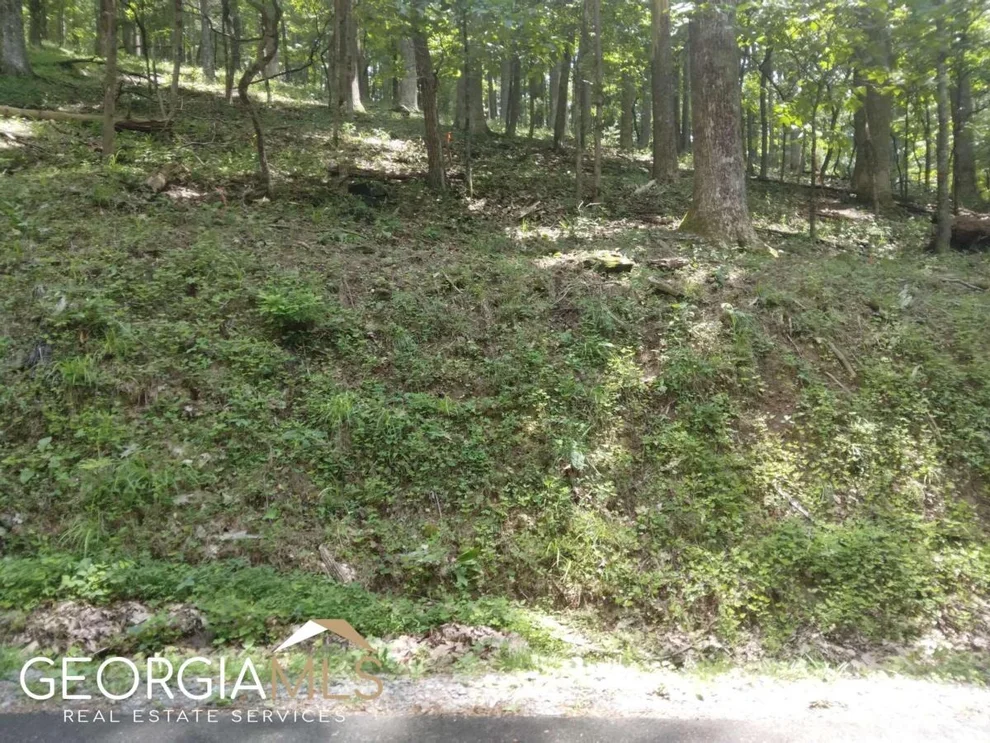 Unit for sale at M213 Walnut Ridge, Ellijay, GA 30540