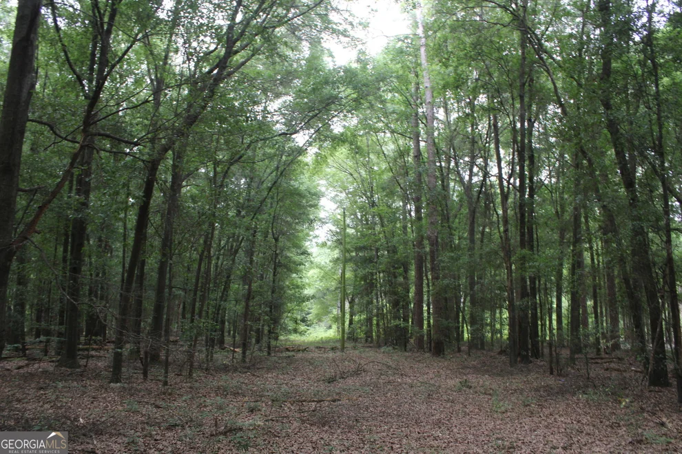 Unit for sale at 0 S State Route 49 Road, Oglethorpe, GA 31068