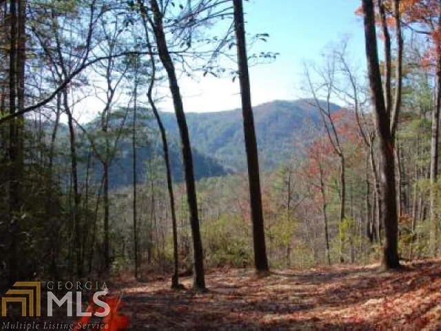 Unit for sale at 0 Hwy 28, Clayton, GA 30525
