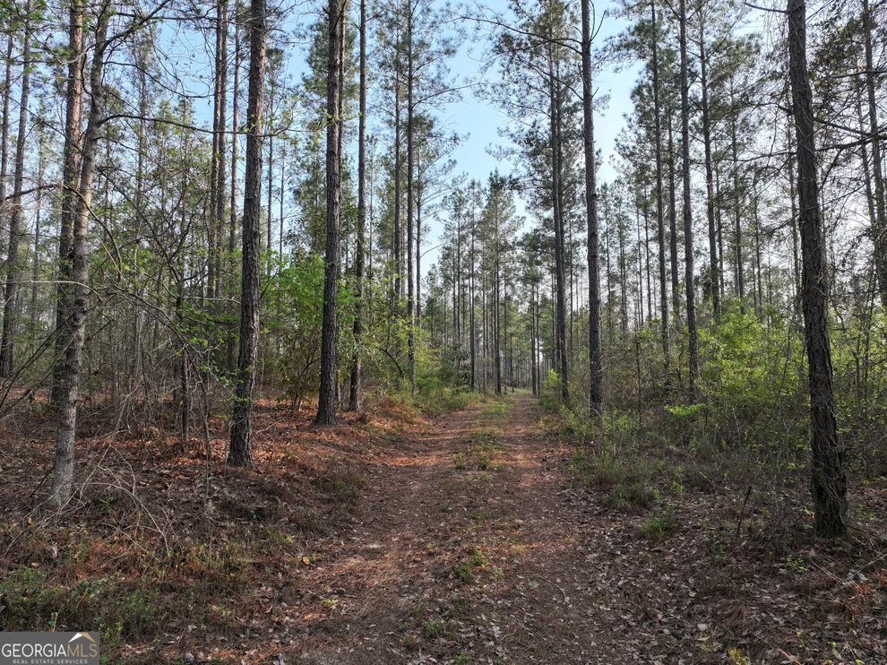 Unit for sale at 195 County Line Road, Lumpkin, GA 31815