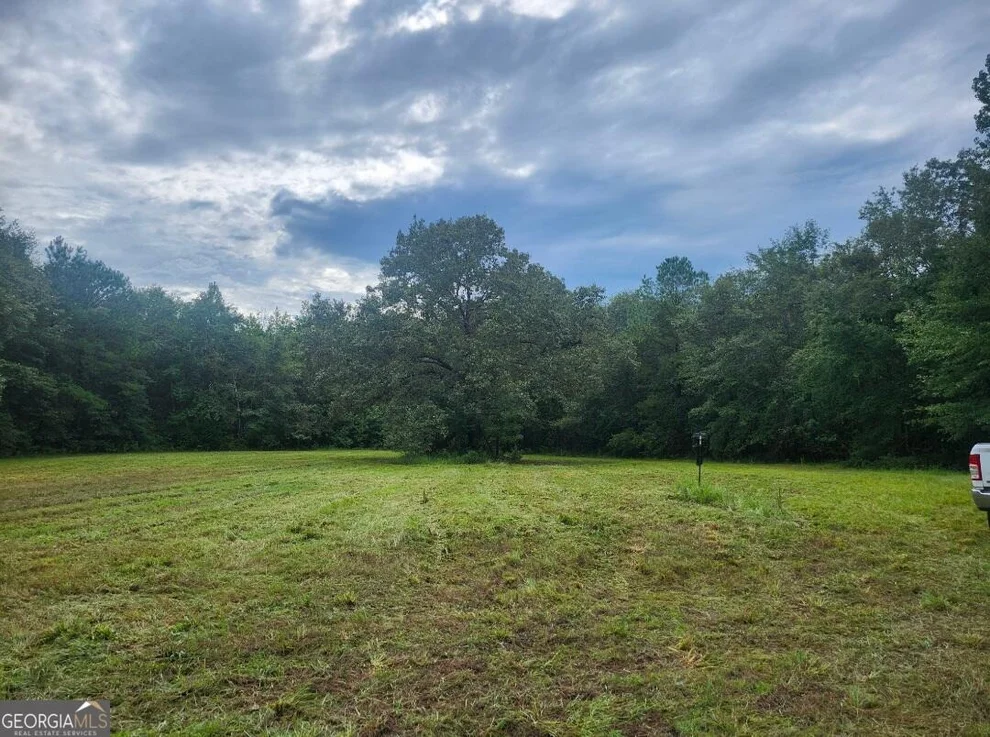 Unit for sale at 0 Lewis Station Road, Sylvania, GA 30467