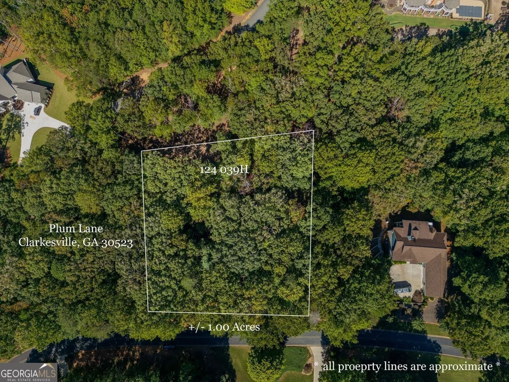 Unit for sale at 0 Plum Lane, Clarkesville, GA 30523