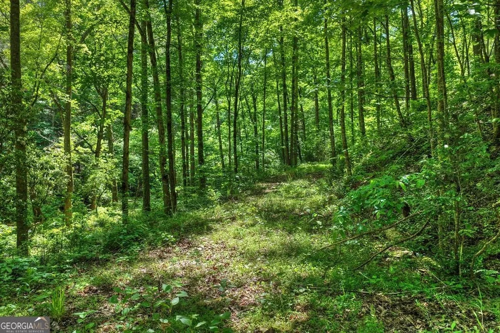 Unit for sale at LOT 106 Mountain Creek Hollow Drive, Talking Rock, GA 30175