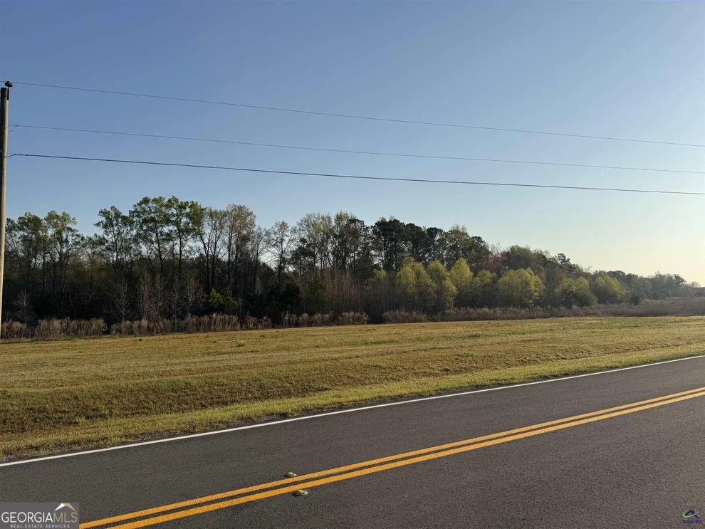 Unit for sale at 0 Whitfield Road, Elko, GA 31025