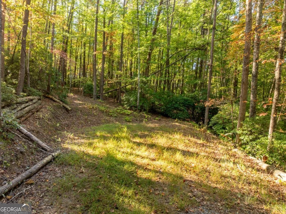 Unit for sale at TRACT 1 Turniptown Road, Ellijay, GA 30536