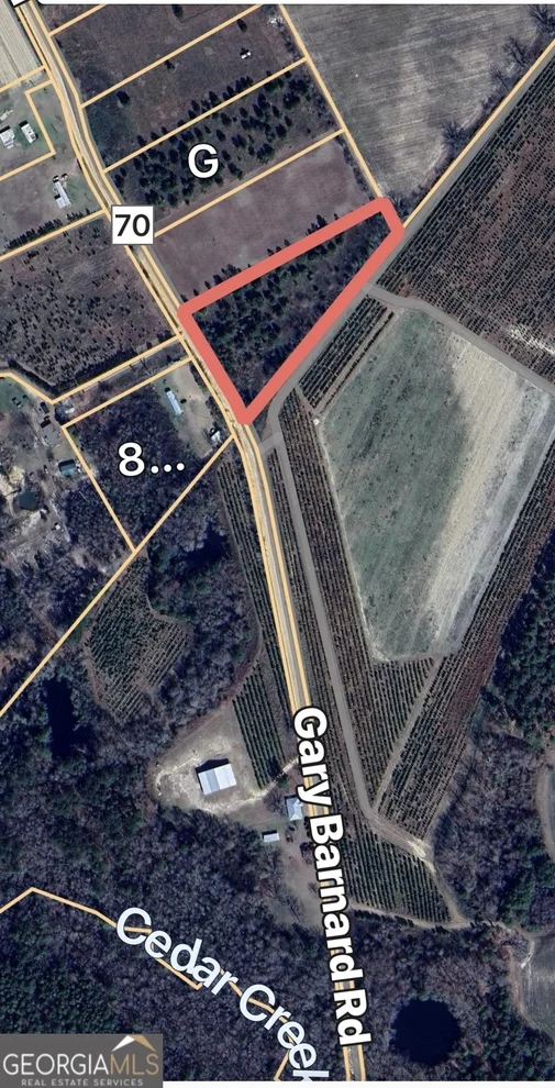 Unit for sale at 0 Gary Barnard Road, Cobbtown, GA 30420