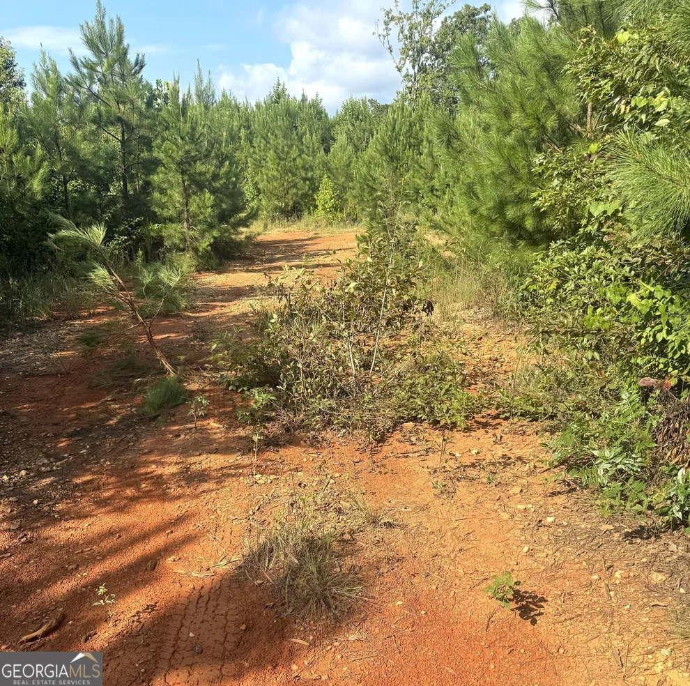 Unit for sale at 0 Co Rd 49, Muscadine, AL 36269