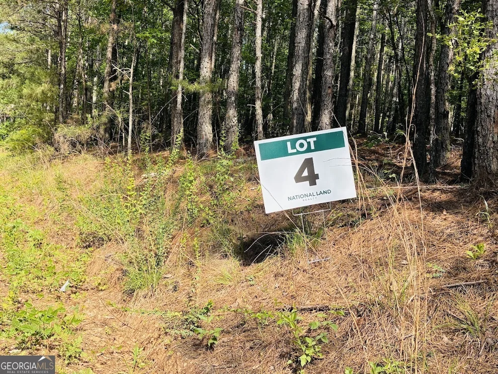 Unit for sale at 0 Creek Road, Ashland, AL 36251
