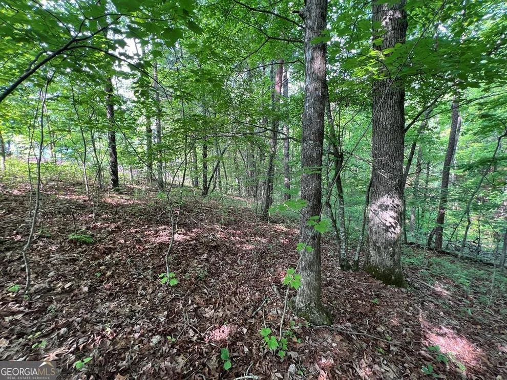Unit for sale at 9 + ACRE Leonard Lane, Murphy, NC 28906