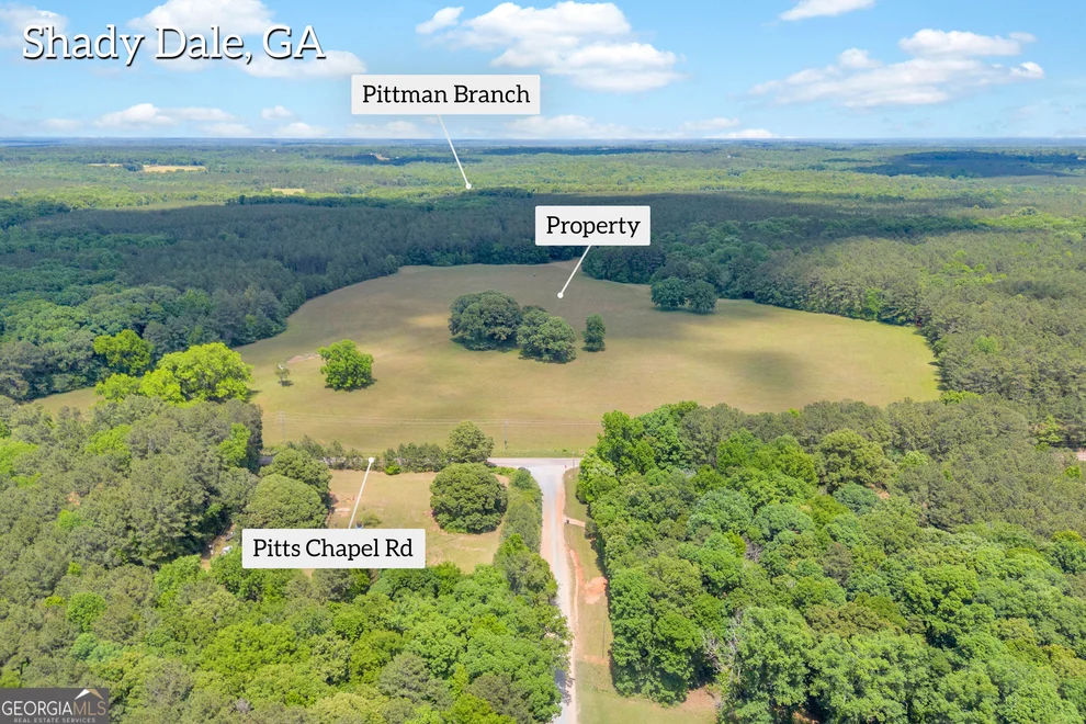 Unit for sale at 0 Pitts Chapel, Newborn, GA 30056