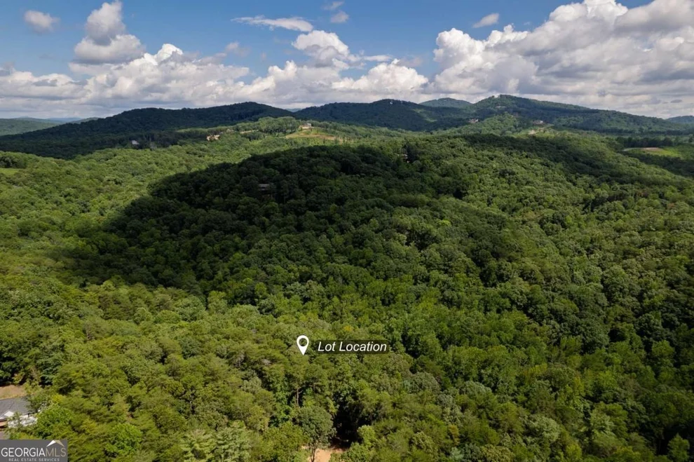 Unit for sale at LOT 6 Heatherwood Way, Talking Rock, GA 30175