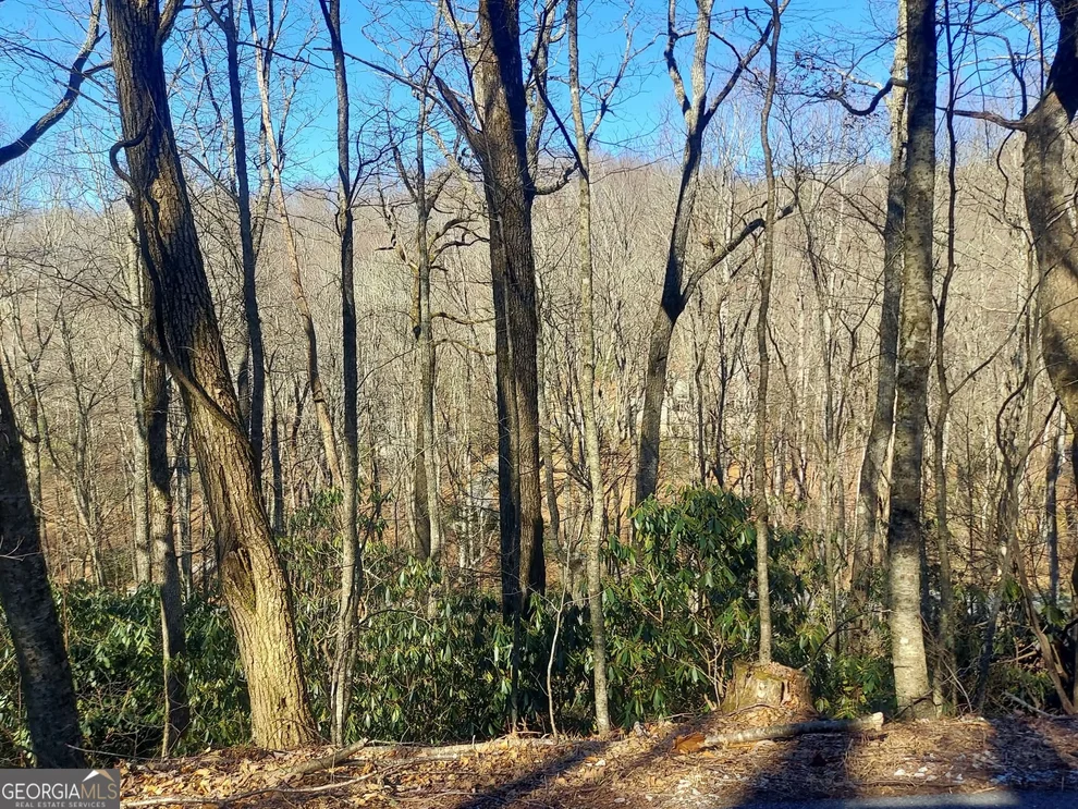 Unit for sale at 0 LOT 41 Rebel Circle, Sky Valley, GA 30537