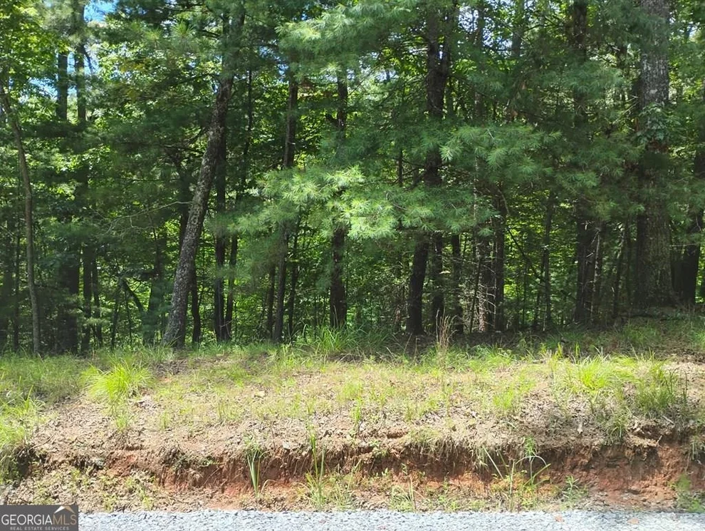 Unit for sale at 0 Crystal Lane, Ellijay, GA 30540