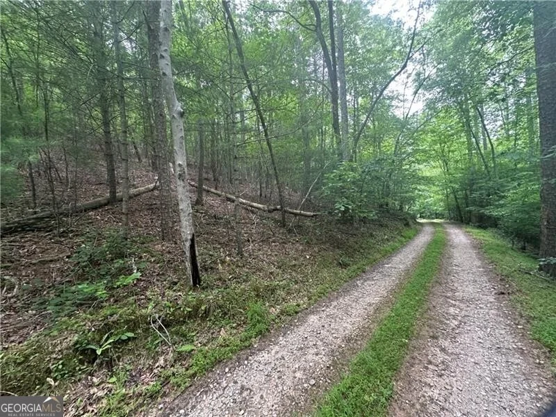 Unit for sale at TRACT1 New Bethel Ch Road, Dawsonville, GA 30534