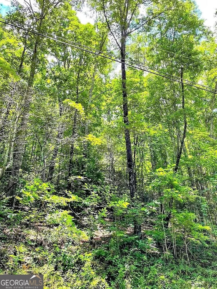 Unit for sale at 0 Blue Ridge Gap Road, Rabun Gap, GA 30568