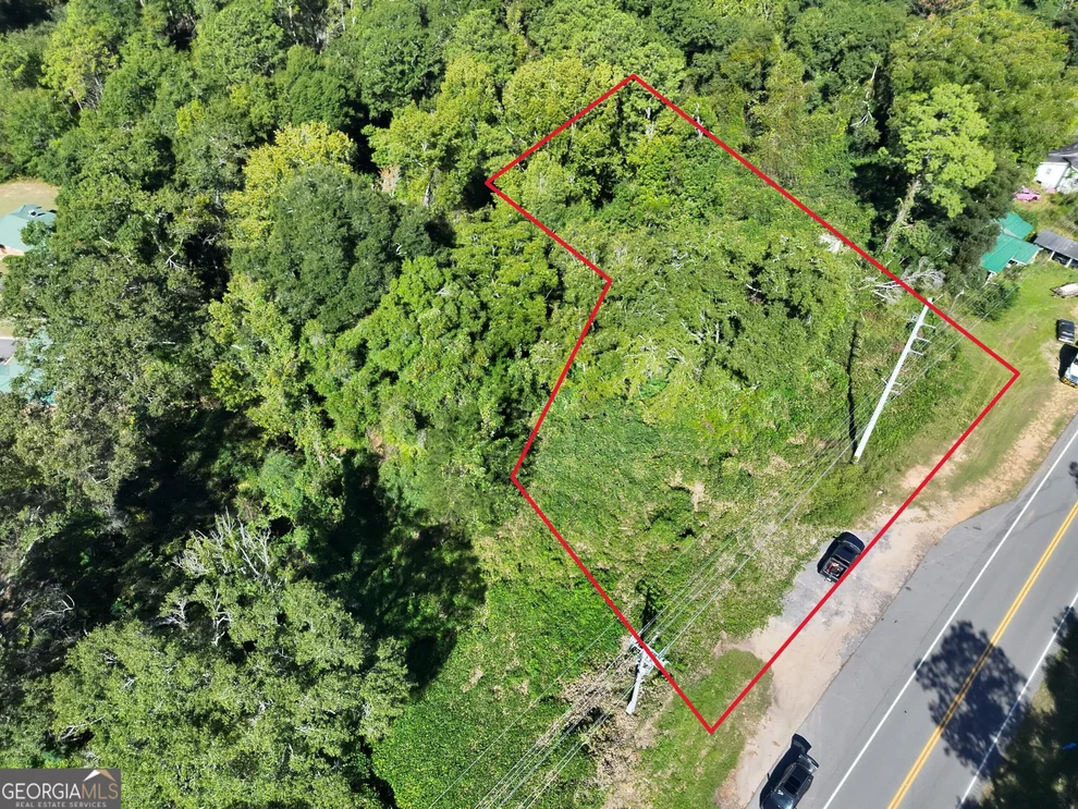 Unit for sale at 0 Highway 51, Clayton, AL 36016