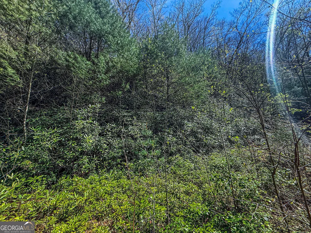 Unit for sale at TR 5 Outback Lane, Rabun Gap, GA 30568