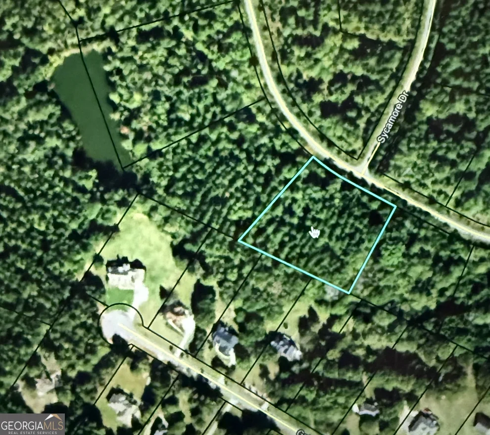 Unit for sale at 0 Colbert Danielsville Road, Danielsville, GA 30633