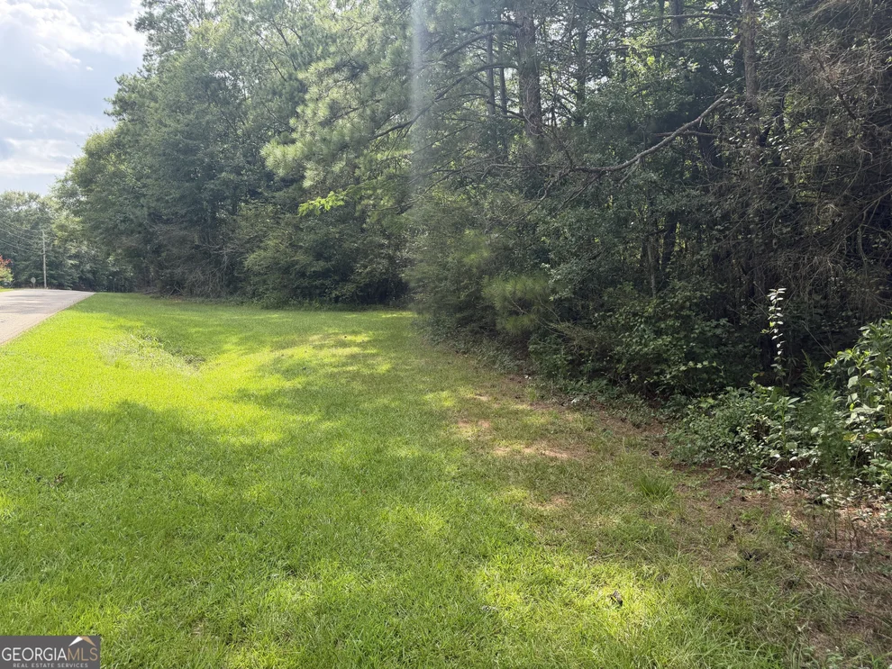Unit for sale at 0 County Road 82, Newell, AL 36280